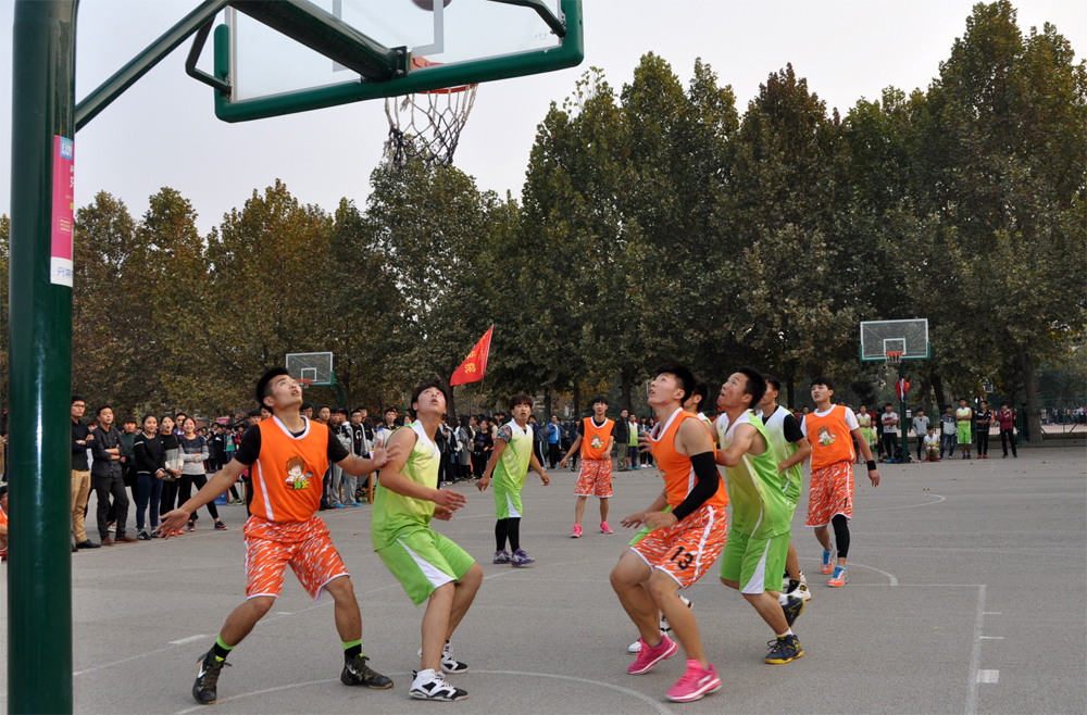 复件 DSC_2011_副本123444.jpg